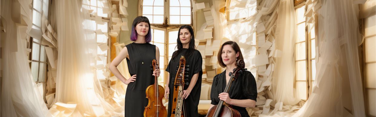 Joyful Haydn | Gryphon Baryton Trio